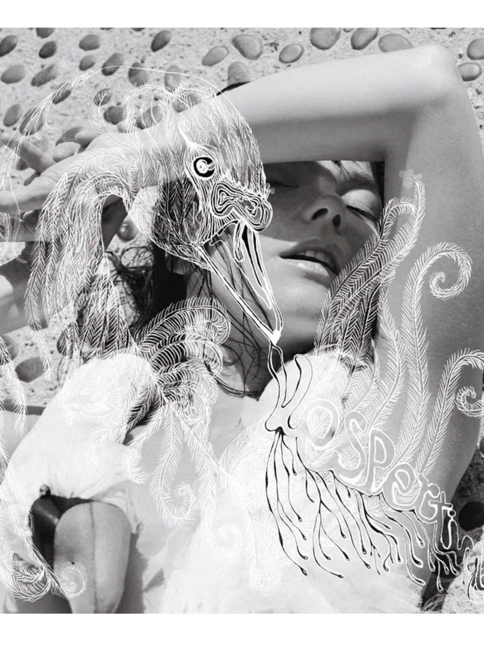 Bjork “ Vespertine” Vinyl Record